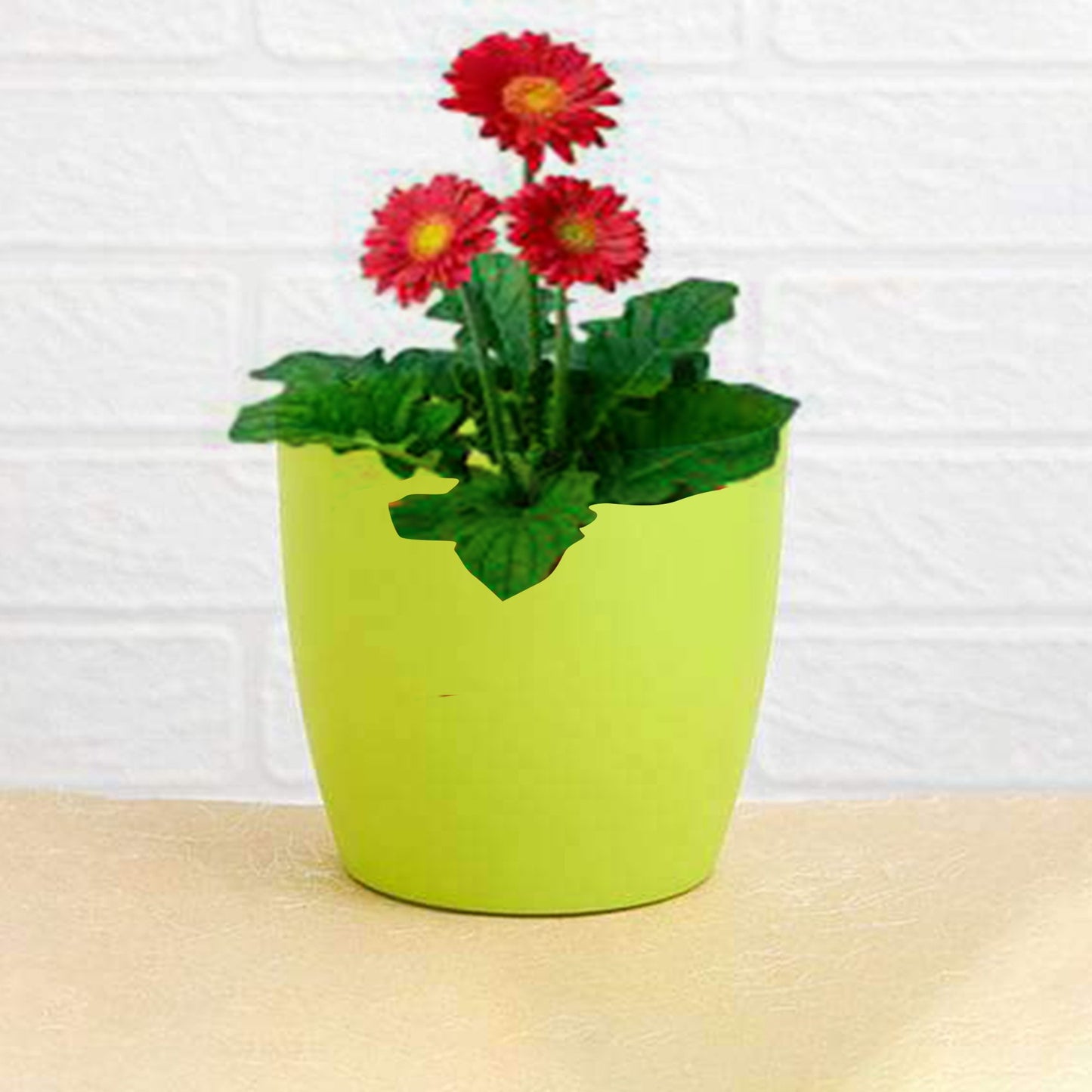 Round Plastic Flower Pot, 15 cm Top Diameter, 12 cm Height, Lime Green, Indoor/Outdoor