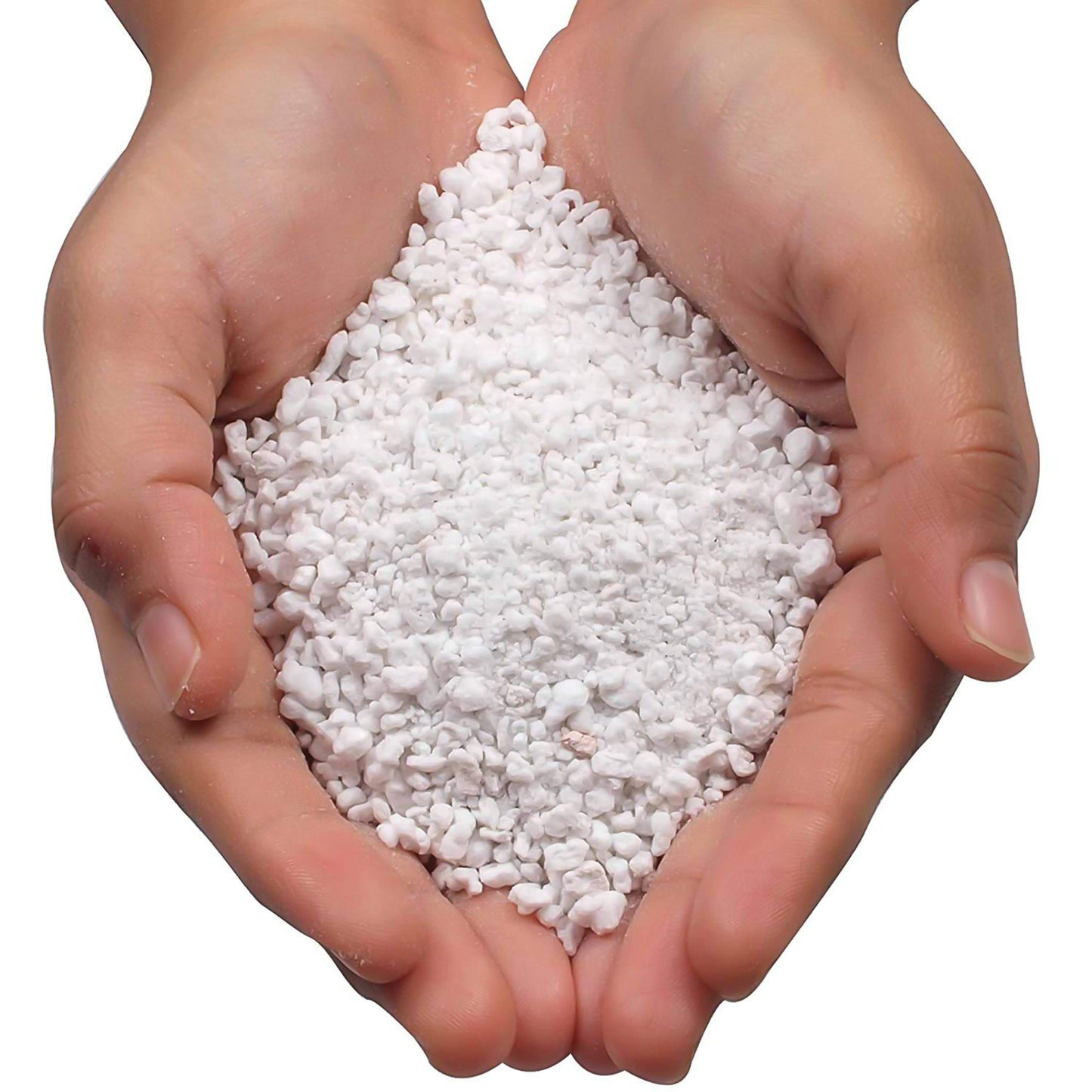 Paradise Perlite for Hydroponics & Horticulture – 250g Soil Conditioner for Indoor & Outdoor Gardening | Improves Drainage, Aeration & Root Health | Ideal for Pots, Planters & Terrace Gardens