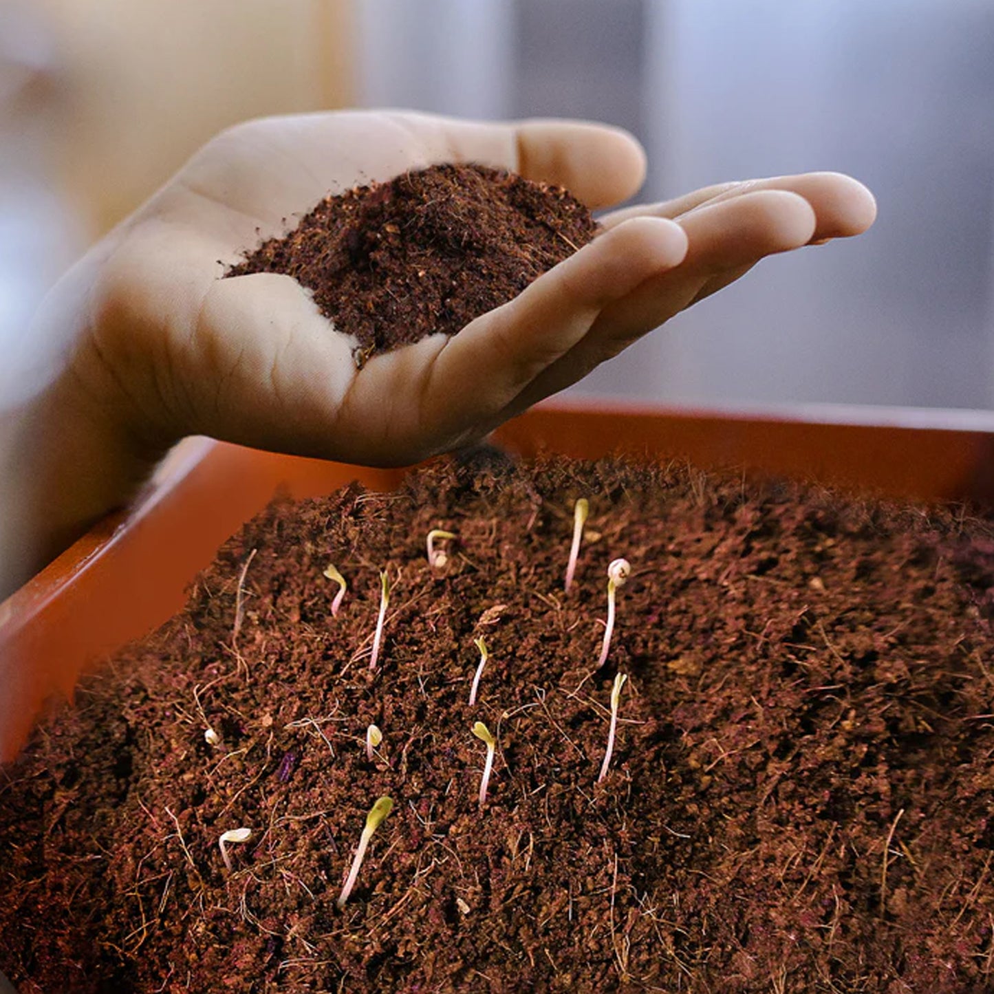 Organic Vermicompost Black Soil – 1 KG Natural Fertilizer & Plant Manure for Home Gardening, Pots, Vegetables & Flowers | Nutrient-Rich Compost for Fast & Healthy Plant Growth