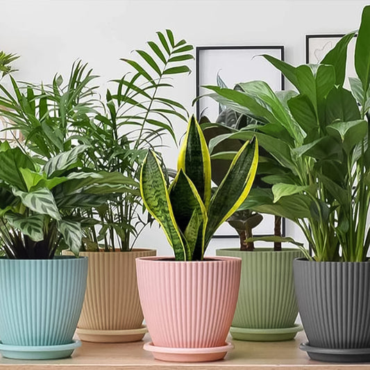 Plastic Round Flower Pots with Bottom Tray – 5 Pcs Set | Modern Planters for Indoor & Outdoor Plants | Lightweight Vase for Balcony, Home, Garden, Office Use